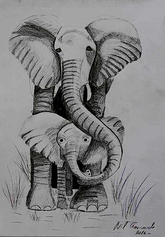 Çocukların Çalışmaları 12