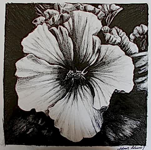 Karakalem Çalışmalar