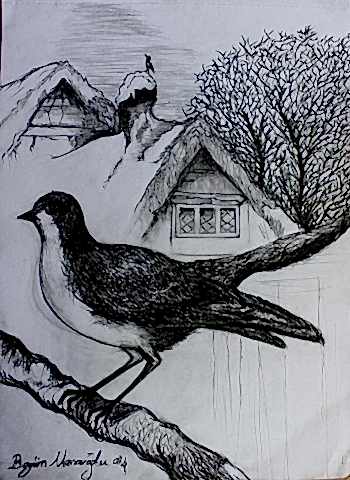 Karakalem Çalışmalar