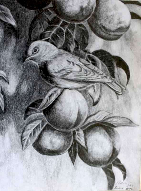 Karakalem Çalışmalar 6