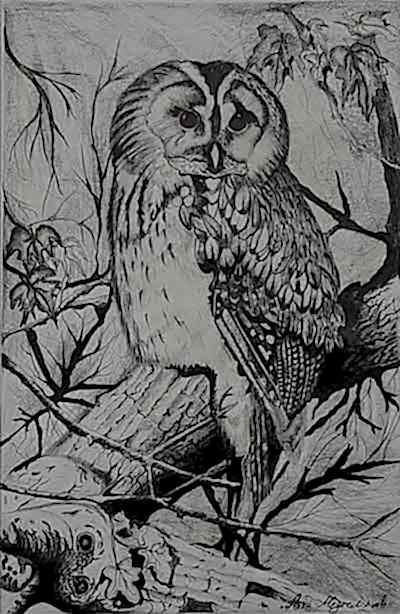 Karakalem Çalışmalar 8