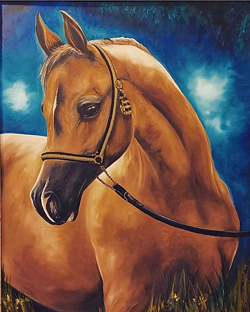 Sema Erdoğan Portfolyo