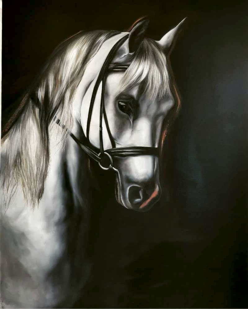 Sema Erdoğan Portfolyo