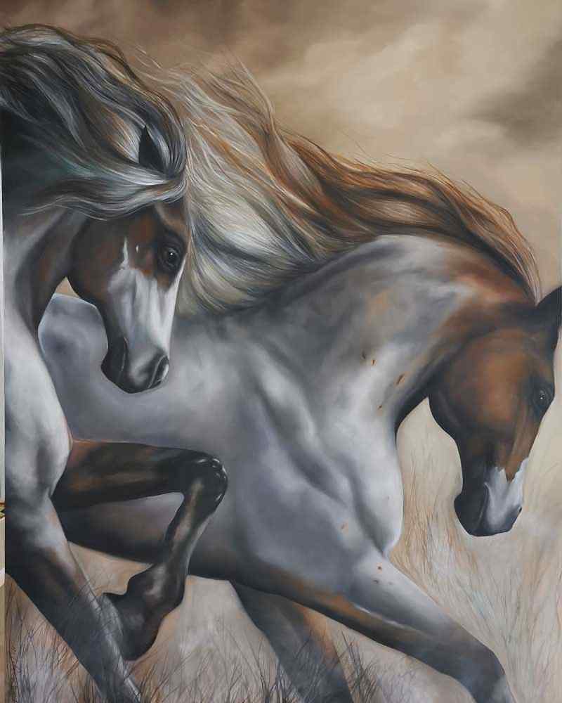 Sema Erdoğan Portfolyo