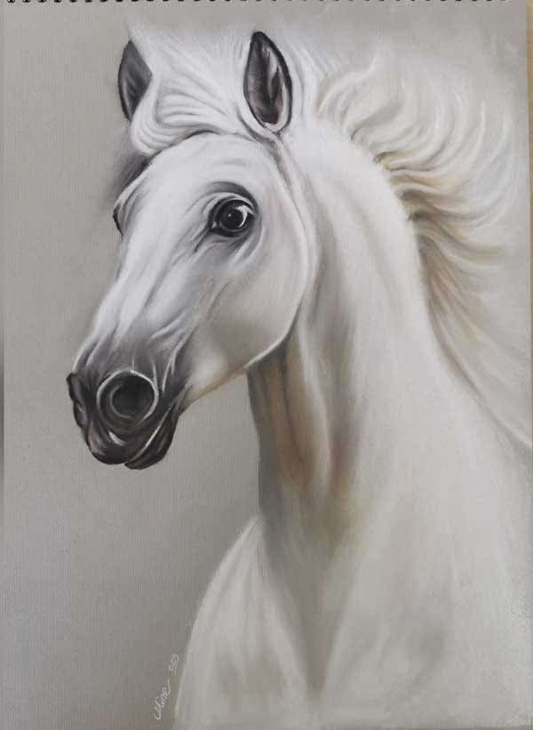 Kuru Kalem ve Sulu Boya Çalışmaları 11