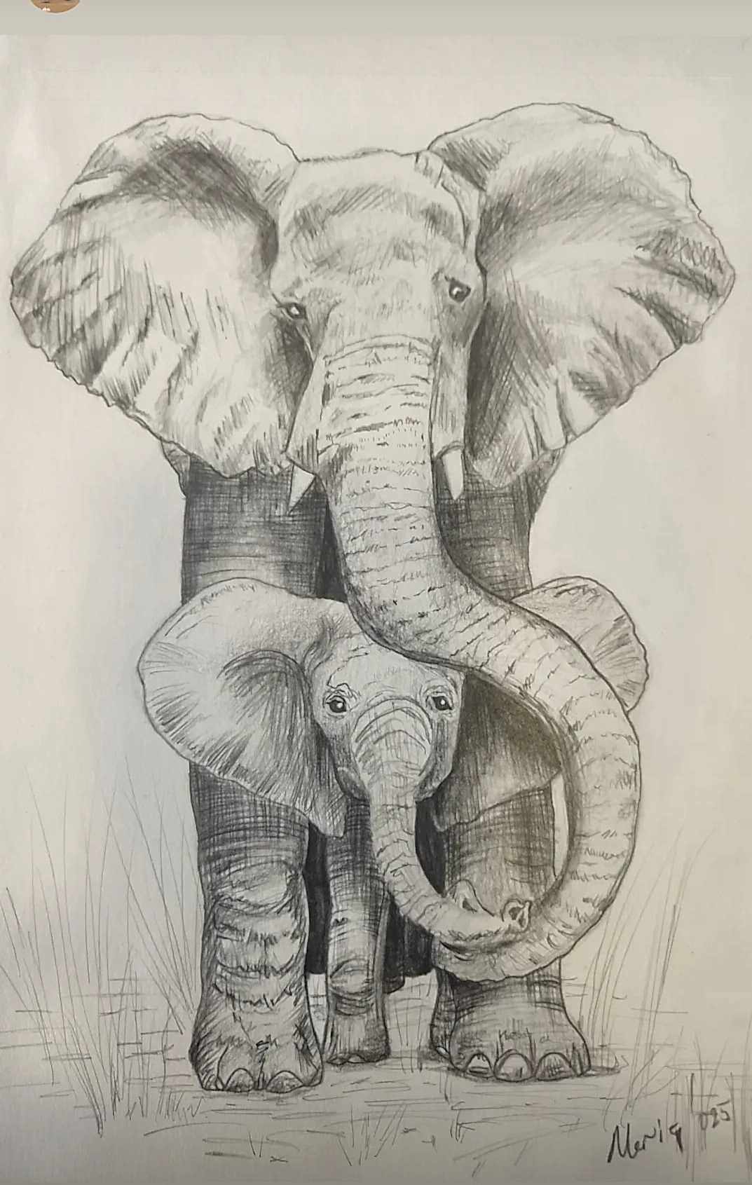 ÇOCUKLARIN ÇALIŞMASI SİYAH BEYAZ FİL VE YAVRUSU